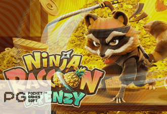 Ninja Raccoon Frenzy